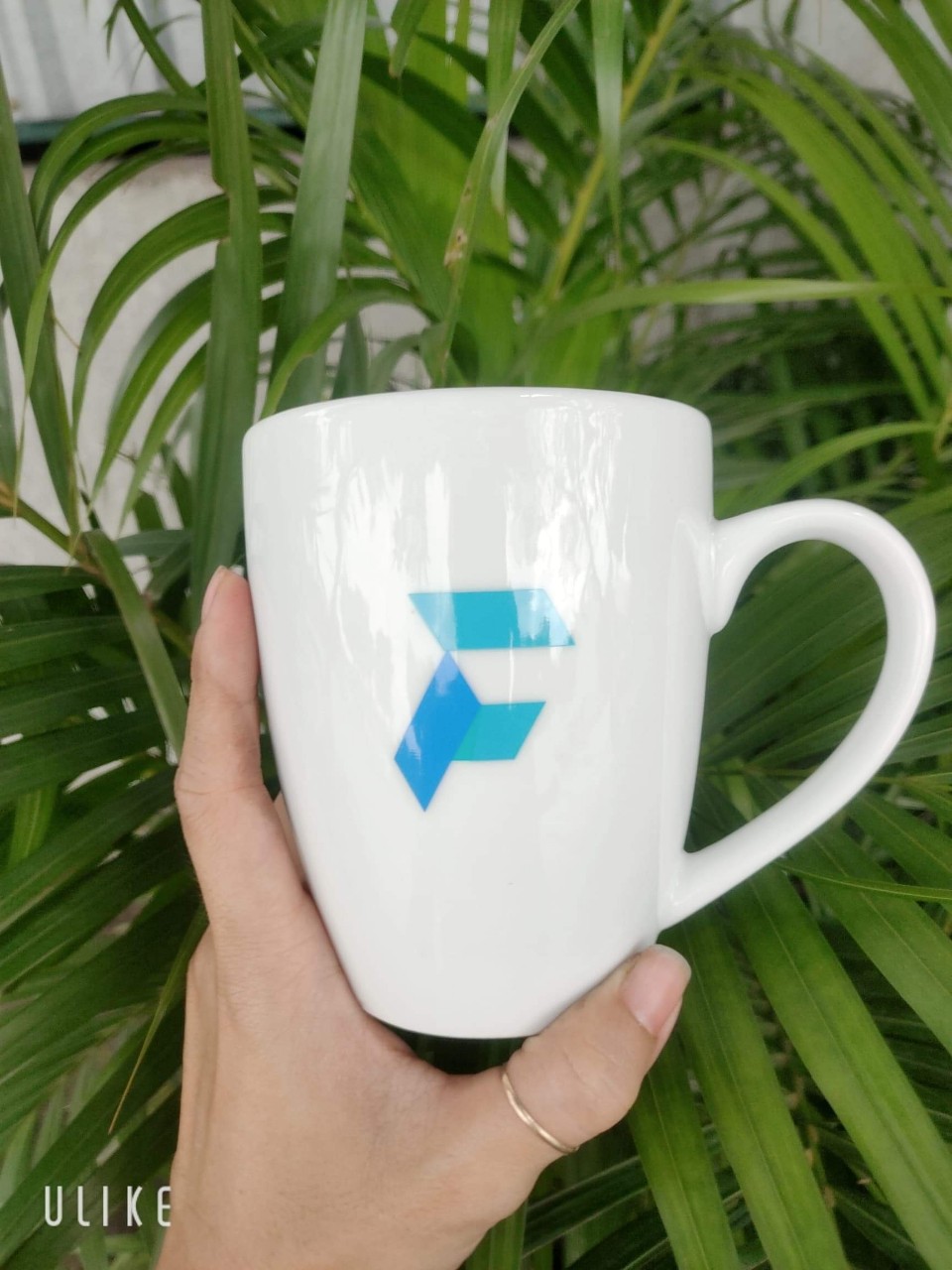 In trên chất liệu sứ